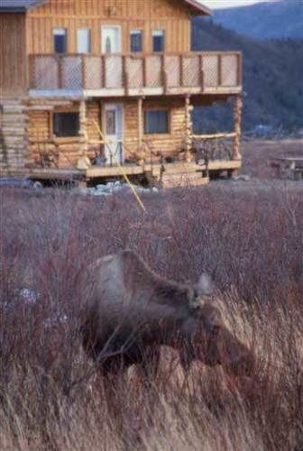 Earthsong Lodge Healy Exterior photo